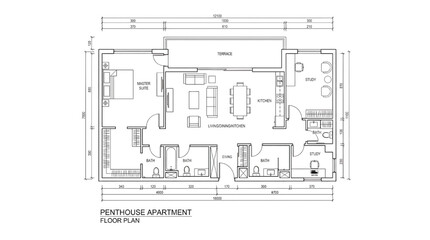 Fototapeta premium Luxury penthouse apartment floor plan with spacious terrace
