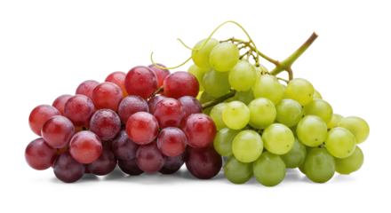 Two bunches of grapes on a png transparent