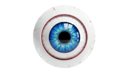 Detailed Blue Human Eye with Veins on White Background