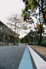 Obraz premium Quiet Urban Street with Blue Bike Lane, West Lake in Huizhou, Guangdong Province, Asia China, is a tourist attraction featuring ancient architecture