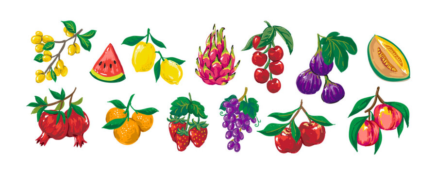 Fruit in Hand-drawn style set, fresh fruits vector collection, healthy food illustration for design menu, banner, label, packaging, branding, advertising, posters	