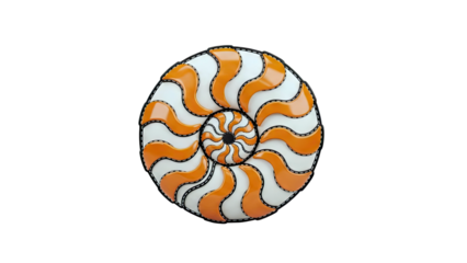 Nautilus Shell Pattern