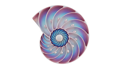 Nautilus Shell Spiral with Iridescent Colors