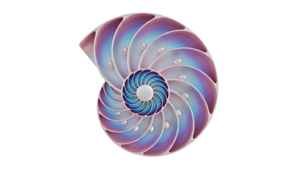 Nautilus Shell Spiral with Iridescent Colors