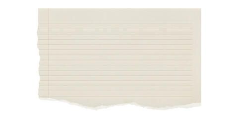 Blank Lined Paper with Torn Bottom Edge