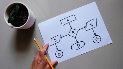 Hand holding a pencil over a simple hand drawn flowchart with decision nodes and arrows on white paper beside a small plant, illustrating basic algorithm and process design

