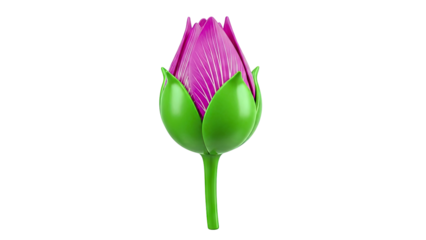 Purple lotus bud with green sepals