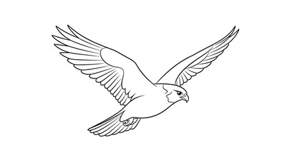 Obraz premium Minimalistic Line Drawing of a Soaring Bird with Outstretched Wings for Art and Illustration