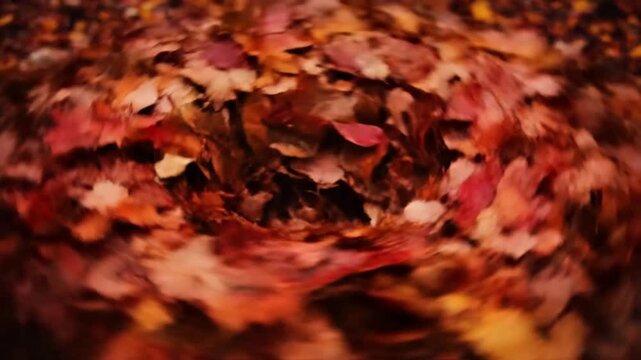 Abstract Nature Art Mesmerizing, organic shapes formed by leaf movement