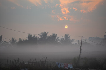Landscape in the morning. Beautiful scenic view of a rice field farm in rural India.