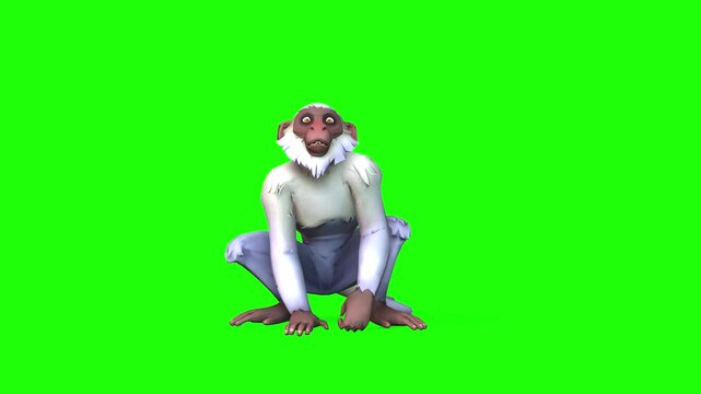 Monkey animation with green screen or chroma key clip motion
