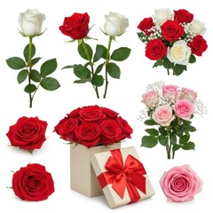 Fototapeta premium Elegant rose arrangements and bouquets in various colors