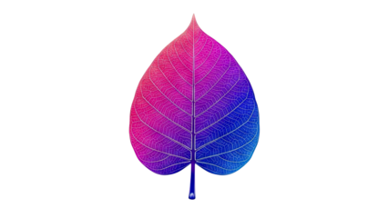 Gradient Leaf with Visible Veins
