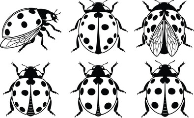 Fototapeta premium Set of black and white ladybug beetle insect silhouettes with spots and wings isolated on white background for nature design vector