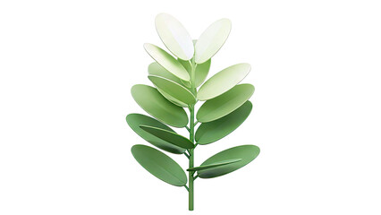 Stylized Green Leafy Plant Stem