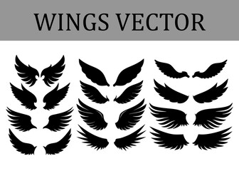 Obraz premium Collection of diverse black silhouette wing in various sizes and styles arranged in three columns on a white background representing different for and symbols