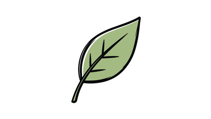 Simple hand-drawn illustration features a single green leaf with dark outlines and vein details for botanical or nature design.