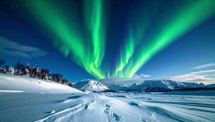 Spectacular Green Northern Lights Aurora Borealis Over Snowy Winter Mountain Landscape