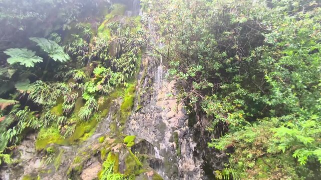 Travel to Puyuhuapi Chaiten Patagonia in Chile