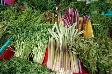 fresh native vegetables and herbs in colorful plastic baskets at traditional vietnamese wet market. authentic local business selling organic taro stems and water lilies.