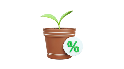 Plant growing in pot with percentage sign