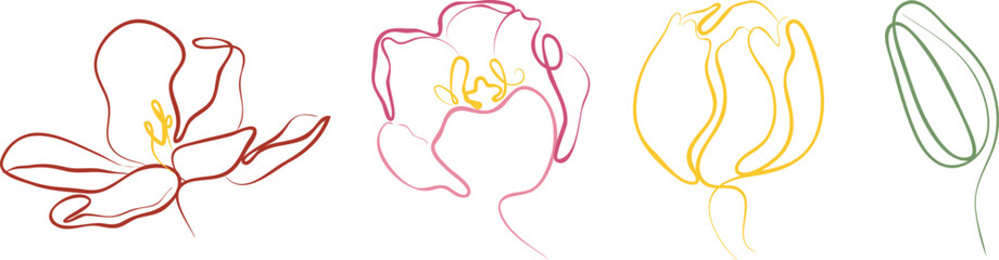Fototapeta premium set of icons of tulips at different stages of opening and blooming in line art style in various pastel colors, for logos and brand elements 