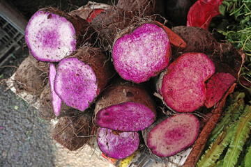 fresh purple yams cut in half displaying vivid violet flesh. raw dioscorea alata root vegetables stacked at vietnamese traditional market. local ingredient for creamy soups and desserts.