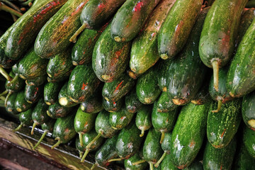 fresh green cucumbers stacked at local market. organic raw vegetable pile with water texture. healthy vietnamese salad ingredient background.