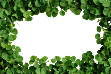 Lush green clover leaves forming a natural oval frame on black background