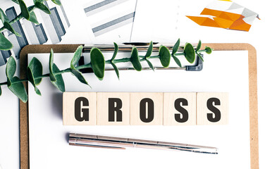 Gross concept on wooden blocks with charts, clipboard, pen, and green plant