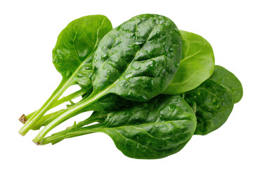 Obraz premium Fresh green spinach leaves with water droplets on black background healthy, Png On White Background, Isolated on Transparent Background, Cut Out