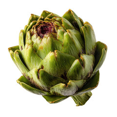 Obraz premium Close up of a fresh green artichoke with purple center on black background vegetable, Png On White Background, Isolated on Transparent Background, Cut Out