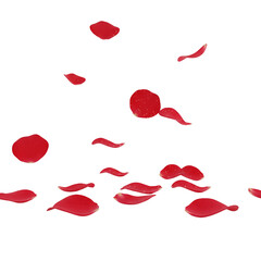 Scattered red rose petals falling on white background