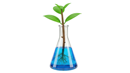 Plant growing in a science flask with blue liquid
