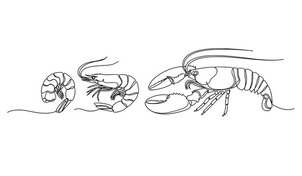 Minimal continuous line shrimp prawn lobster vector illustration seafood concept