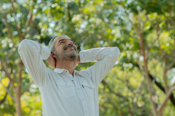 Smart handsome old man breathe pure air from tree and have good healthy in park