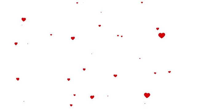 red hearts flying on white background, 4k loopable overlay with alpha channel. abstract floating hearts animation for valentines day background.