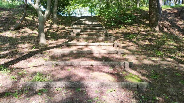 散歩道の階段