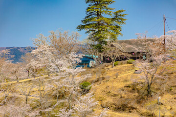 西山公園（西山荘近辺）