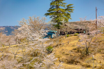 西山公園（西山荘近辺）