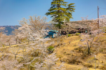 西山公園（西山荘近辺）