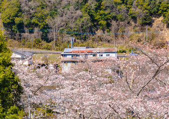 西山公園（西山荘近辺）