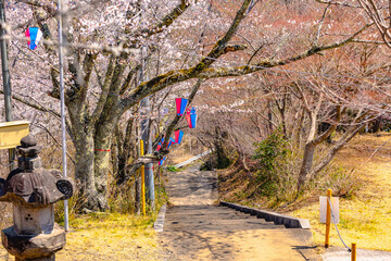 西山公園（西山荘近辺）