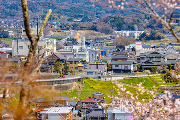 西山公園（西山荘近辺）