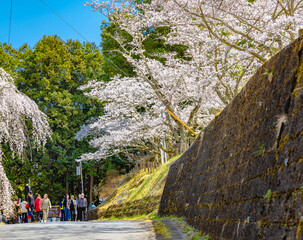 西山公園（西山荘近辺）