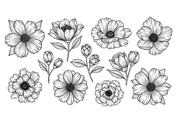 Fototapeta premium Bold floral line art vector set with hand drawn flowers and leaves on white background