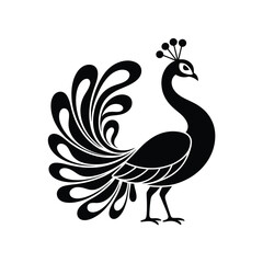 Fototapeta premium Elegant peacock design in black and white stylized feather illustration