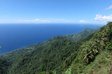 Lush Green Forested Mountainside Overlooking Deep Blue Ocean Under Clear Bright Blue Sky in Tropical Location Under Bright Daylight