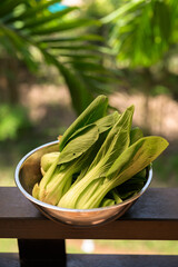 Fresh Bok Choy in Bowl with Tropical Leaves Background for Healthy Food Concept