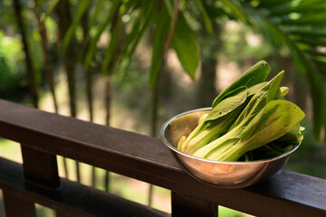 Fresh Bok Choy in Bowl with Tropical Leaves Background for Healthy Food Concept